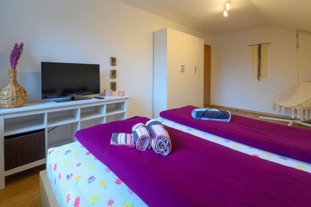 Family Apartment 巴德哥依斯恩 外观 照片